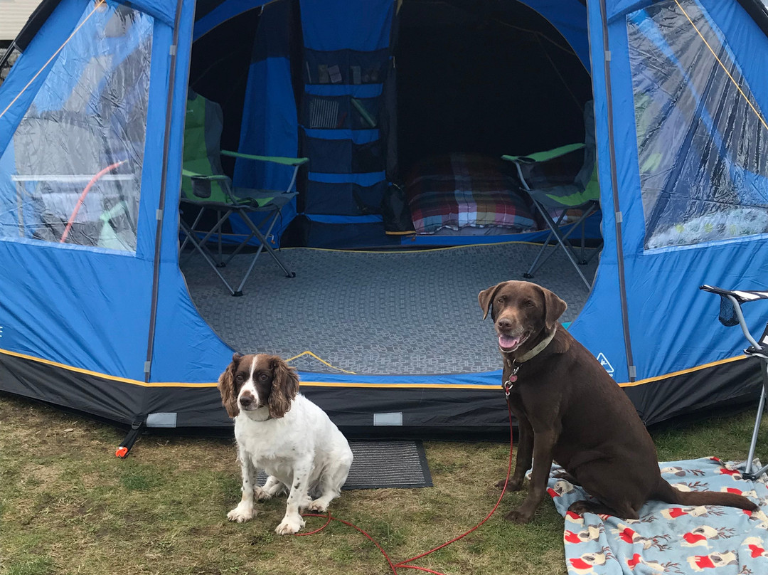Sandilands Caravan Park主图