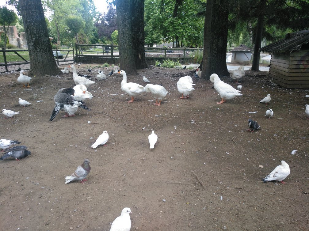 Parque Fuentes Carrionas景点图片