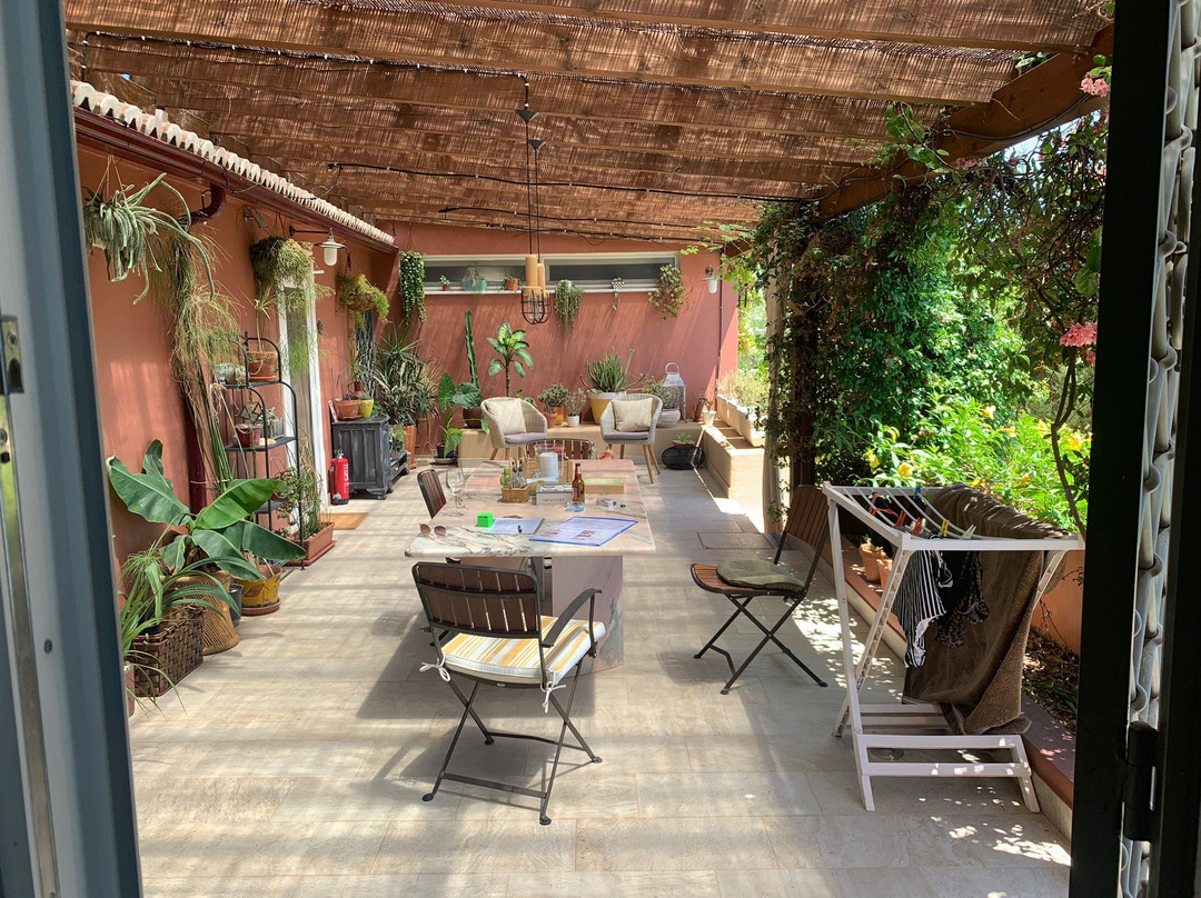 Gato Preto de Silves主图