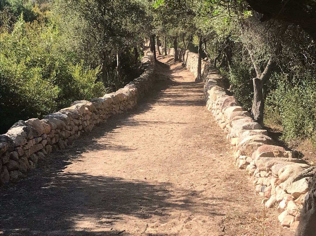 Sentier du Patrimoine景点图片