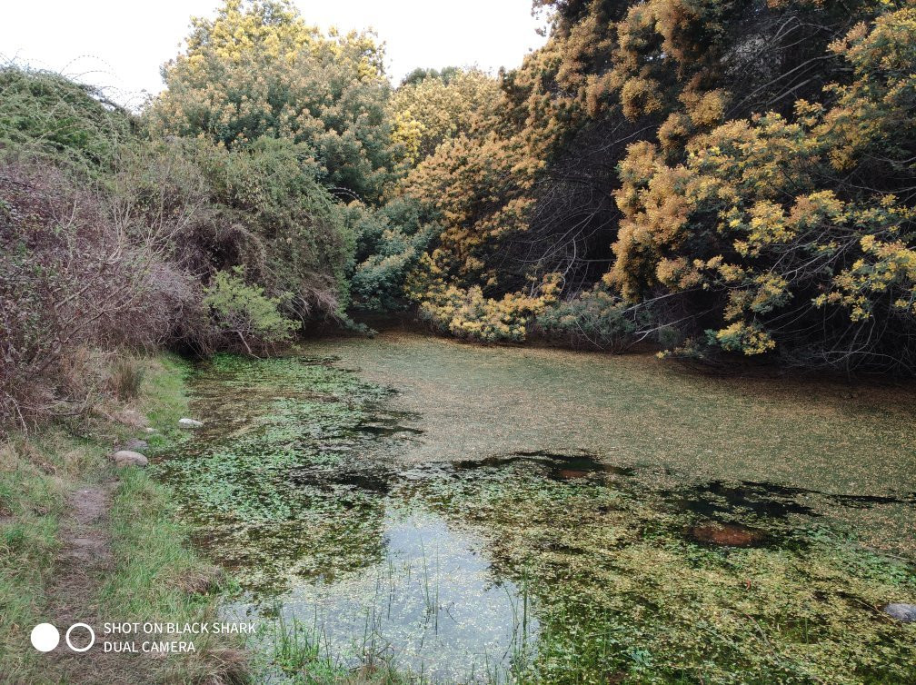 Quebrada de Cordoba-El Tabo必去景点