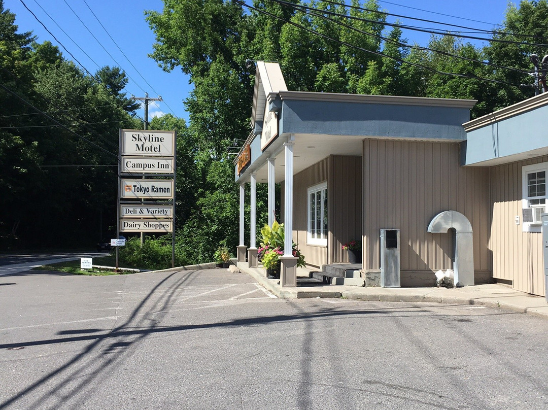 Skyline Motel & Campus Inn主图