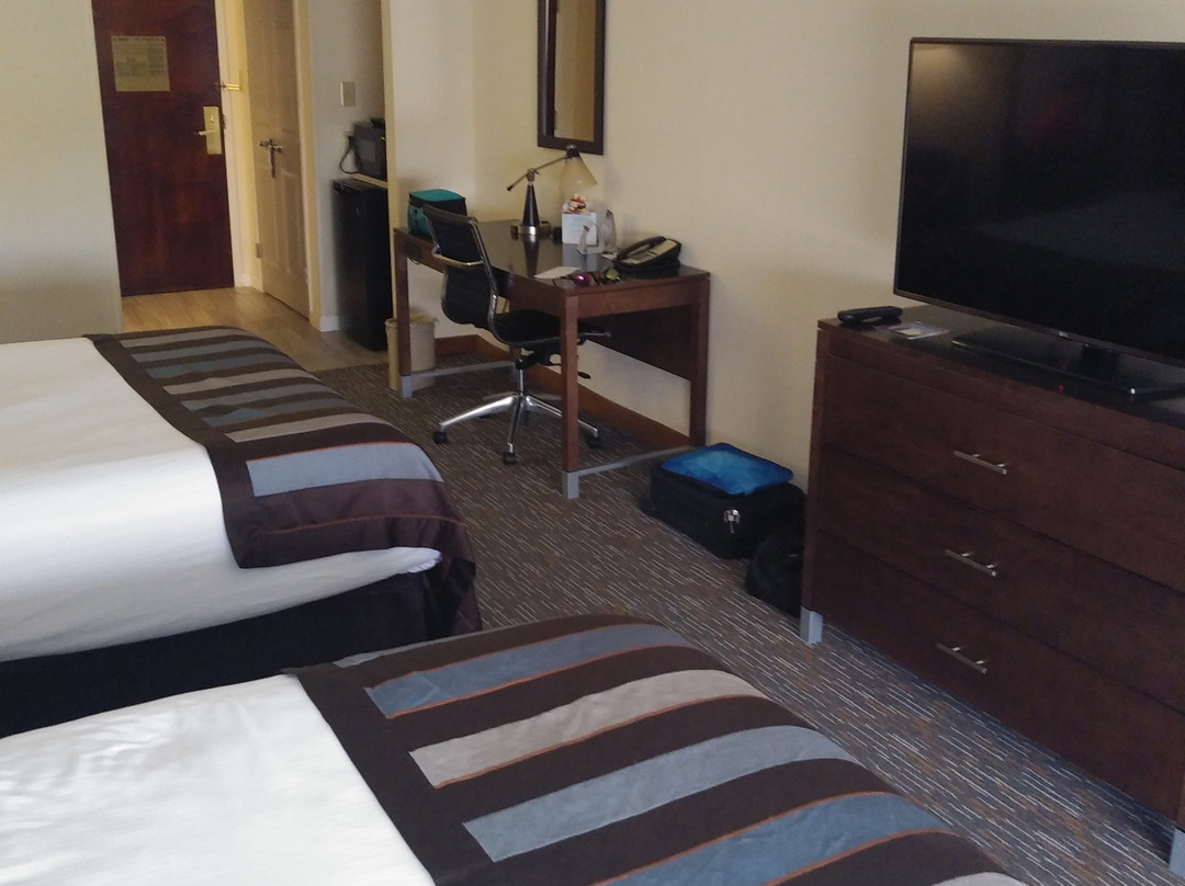 Wingate by Wyndham Chattanooga主图