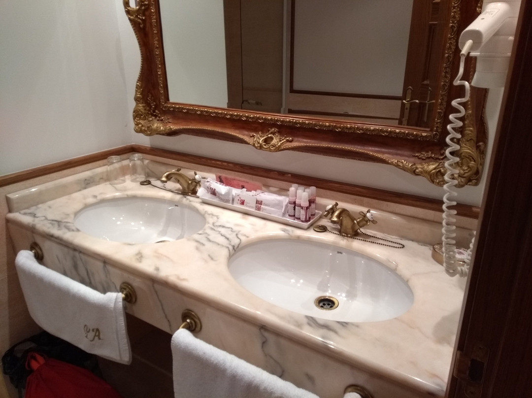 Hotel Palacio Azcarate主图