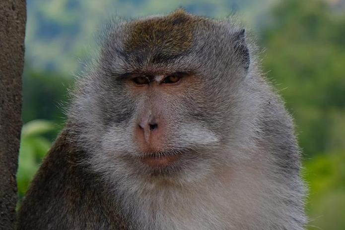 Lombok Trip-龙目岛必去景点