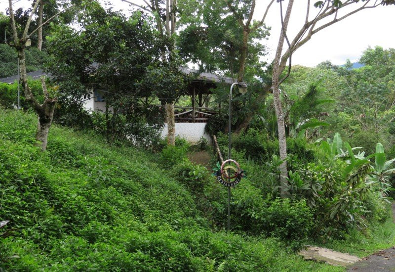 Talari Mountain Lodge主图