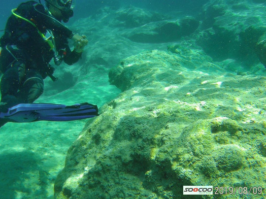 Dragoman Diving Centre-卡斯必去景点