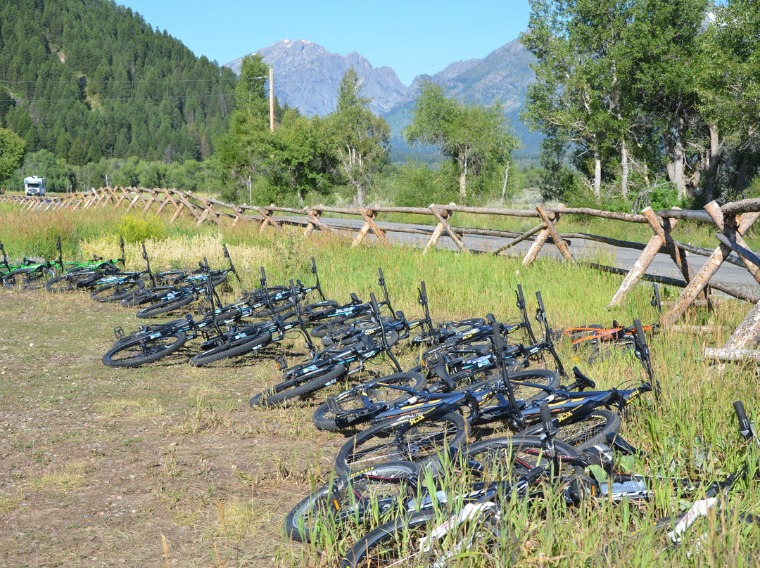 Teton Mountain Bike Tours Day Tours景点图片