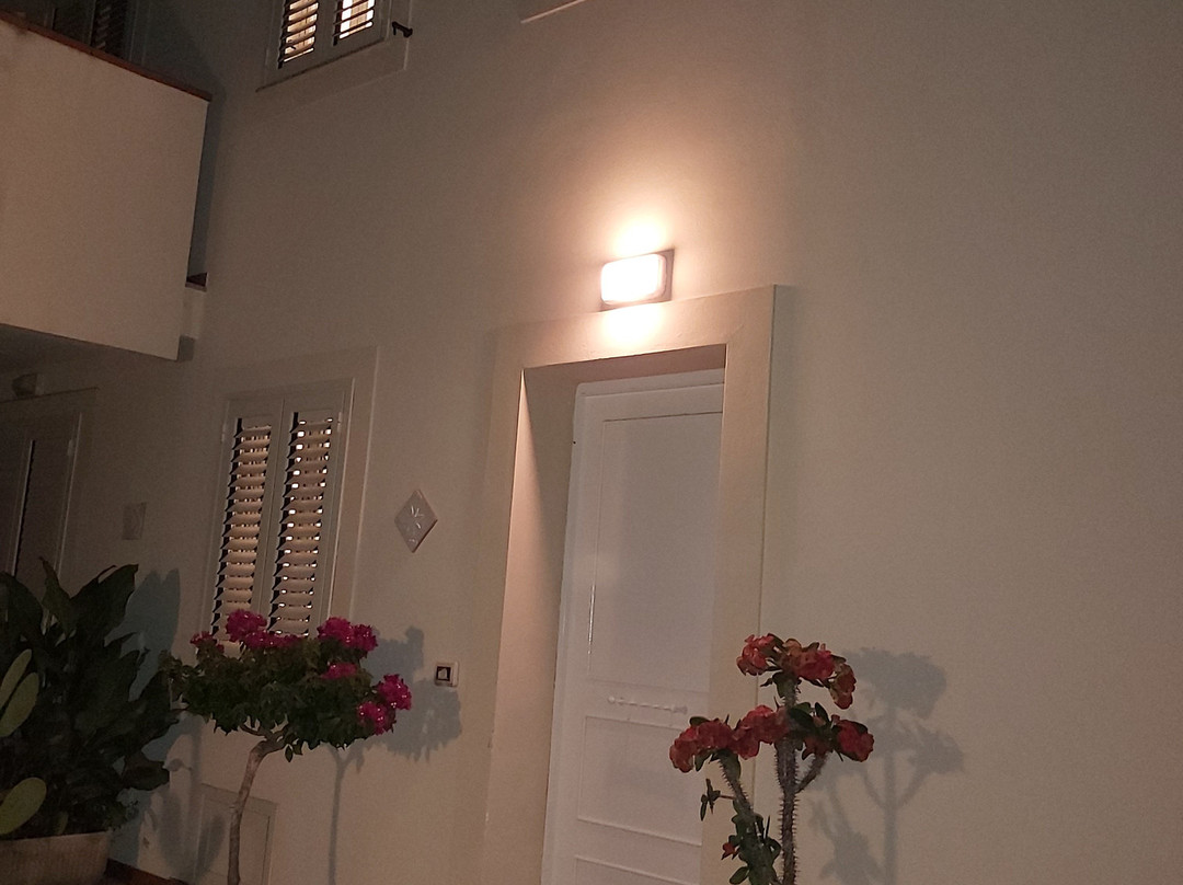 Dolce Casa n 41主图