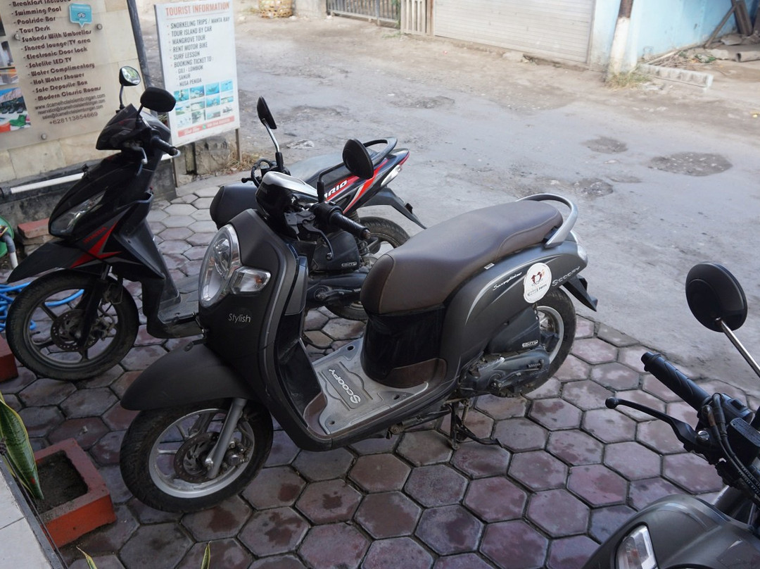 D'Camel Hotel Lembongan主图