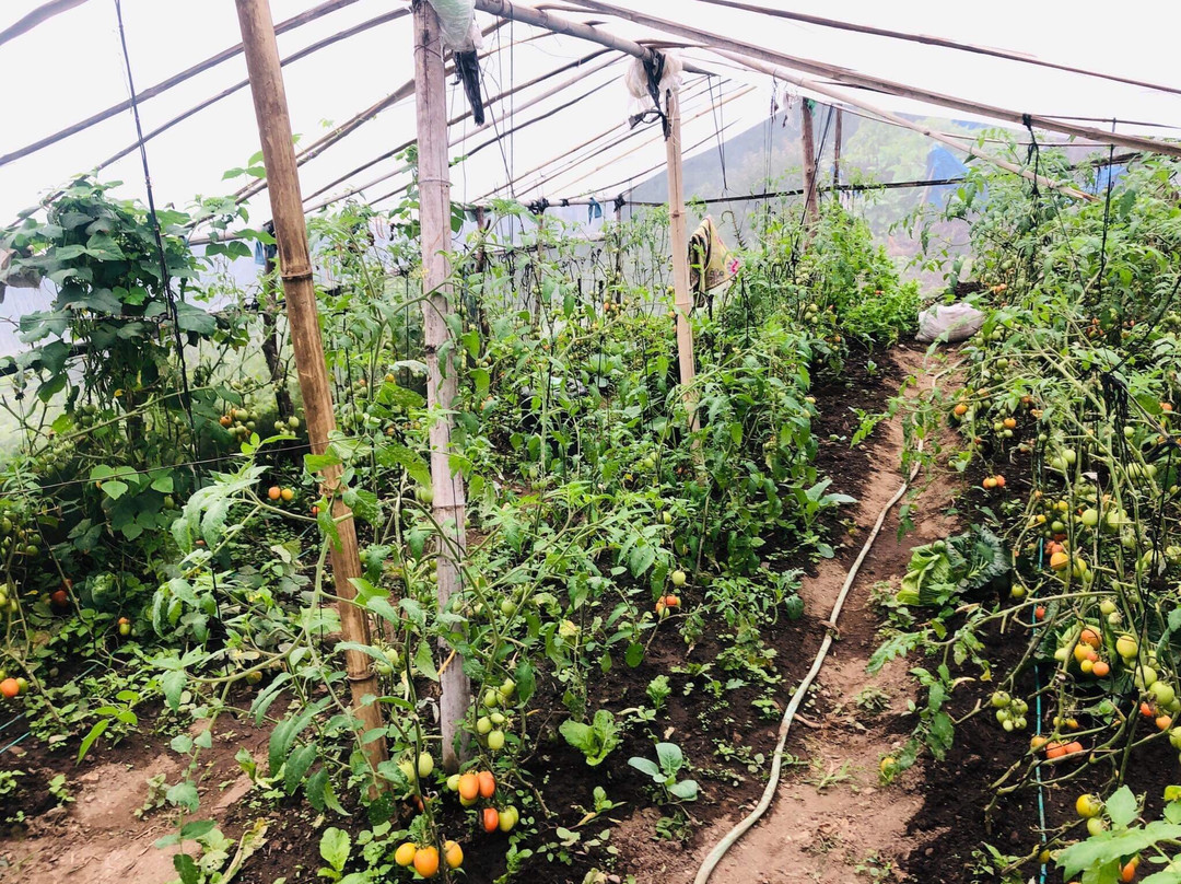 Paldor Peak Guest House主图