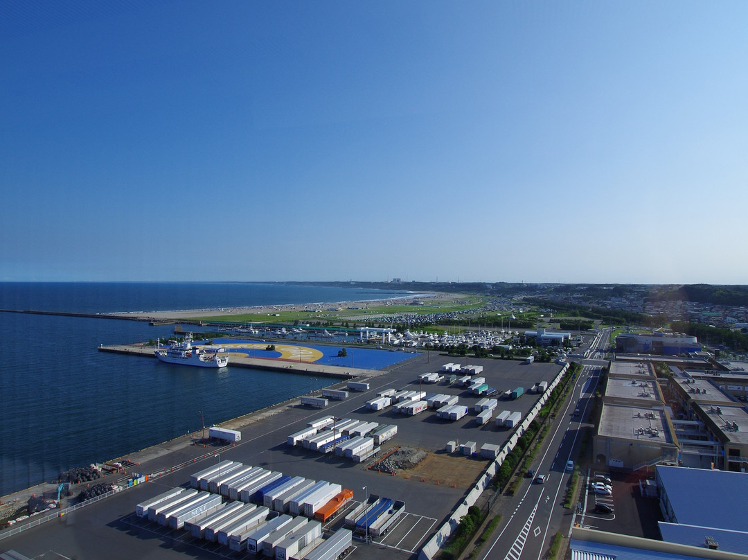 Oarai Marine Tower景点图片
