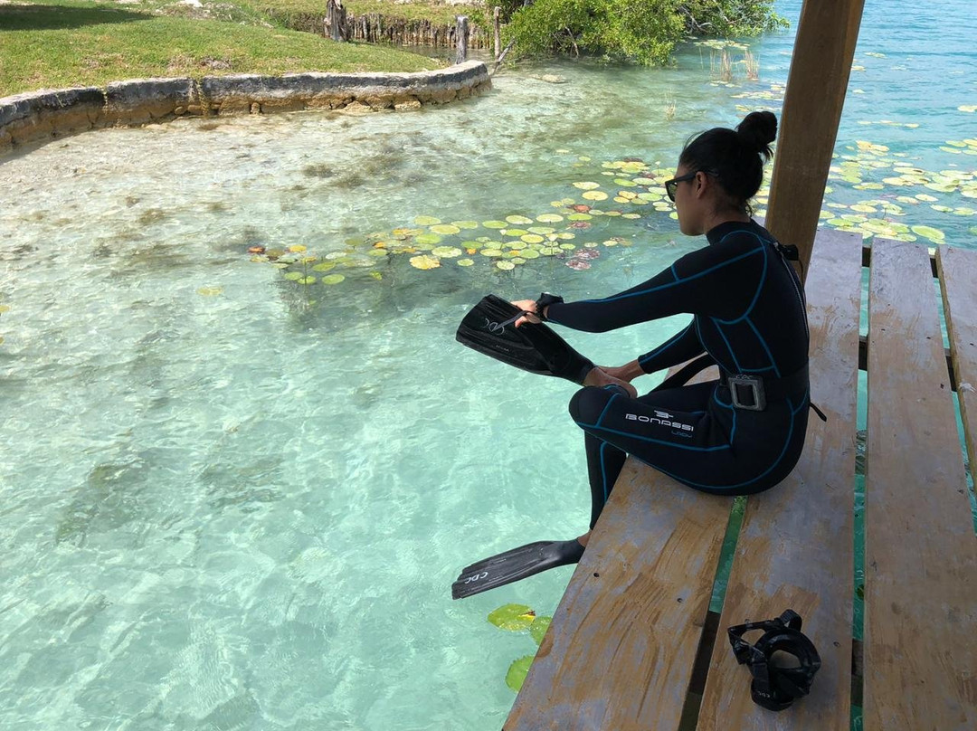 Chetumal Dive Club-切图马尔必去景点