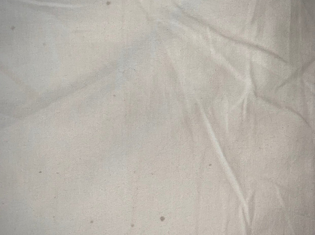 Hotel Playa Vista Mar主图