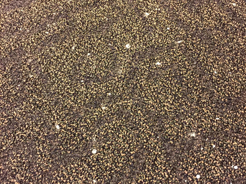 蔚蓝之水酒店主图