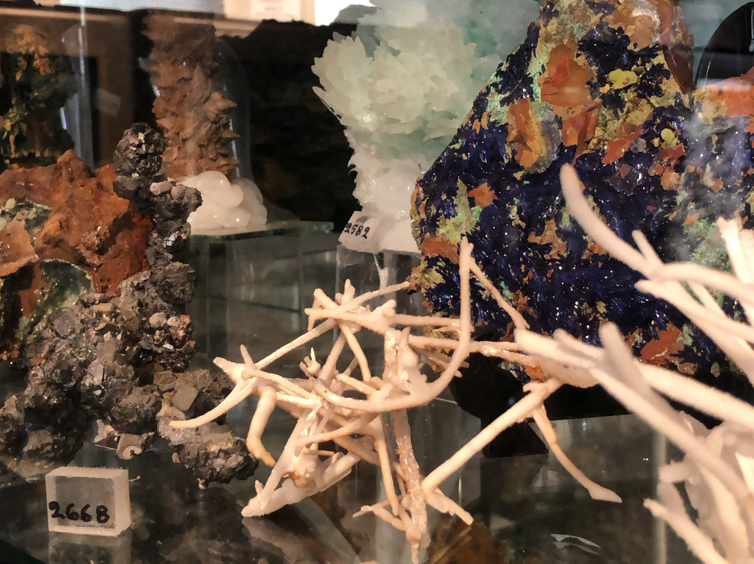 Mineralogical Museum-Lavrio必去景点