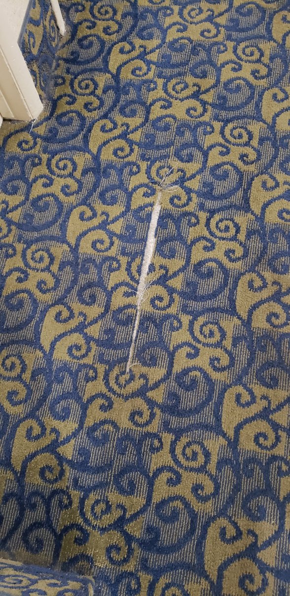 Quality Inn South Lake Tahoe-浴室