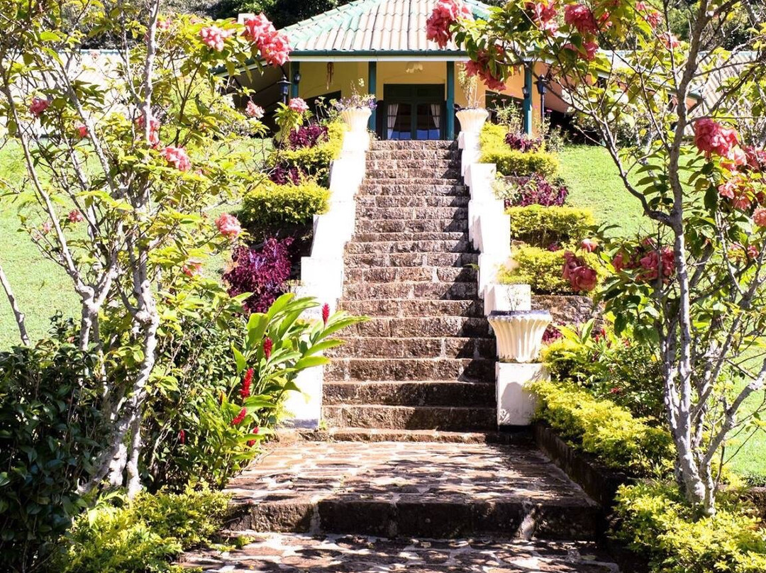 威哈拉咖拉村平房主图