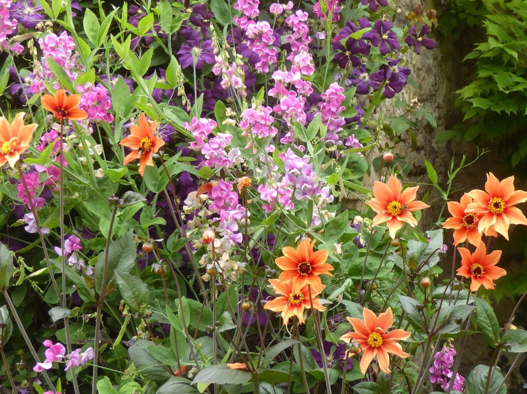 Worcester College-牛津必去景点