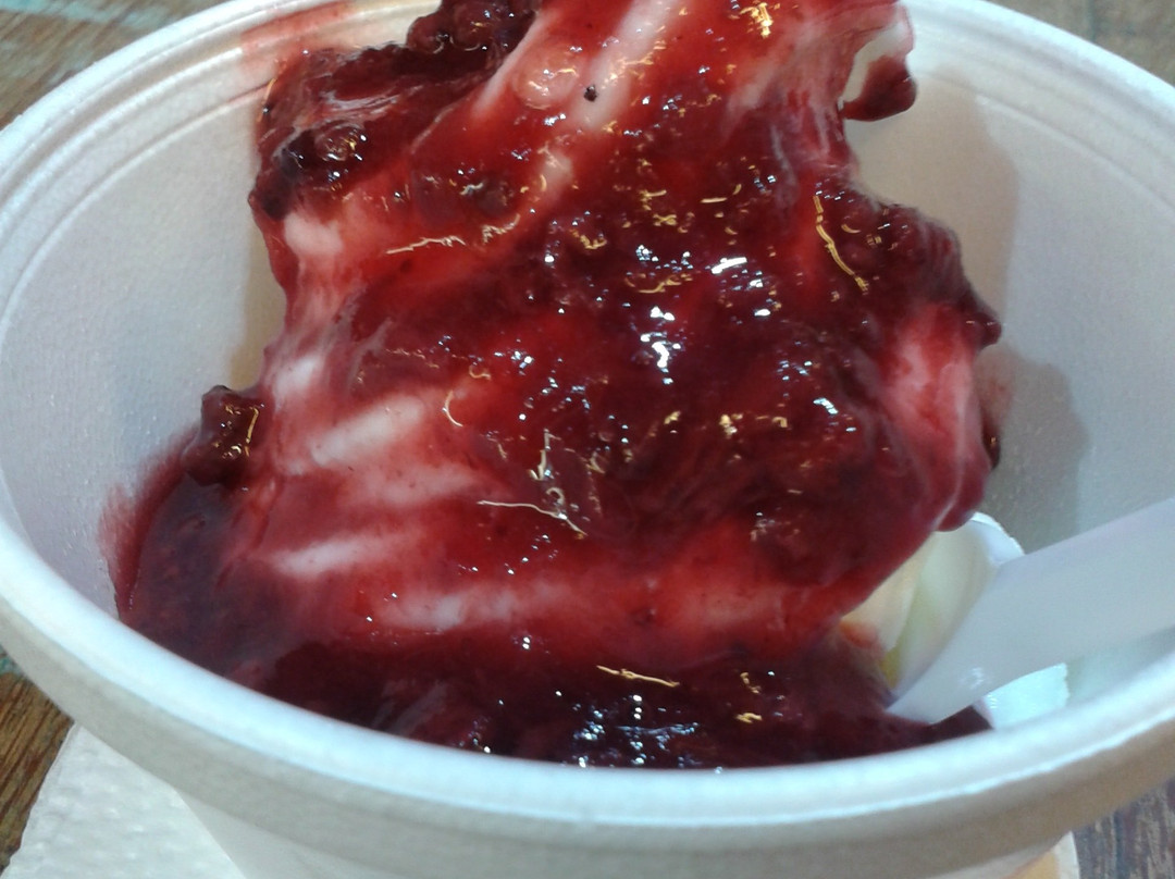 Campo da Serra-累西腓必去景点