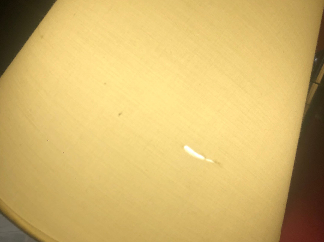 Ramada Limited Decatur主图