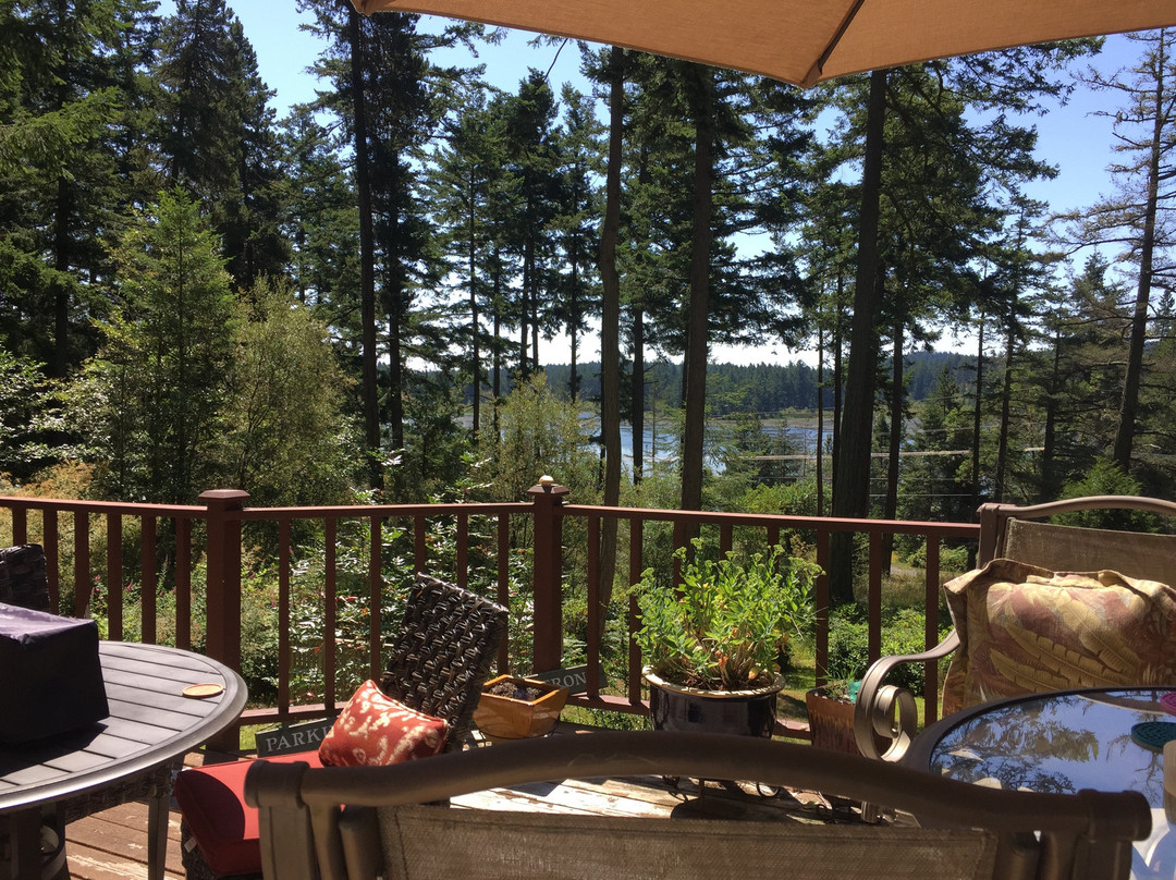 Inn to the Woods主图