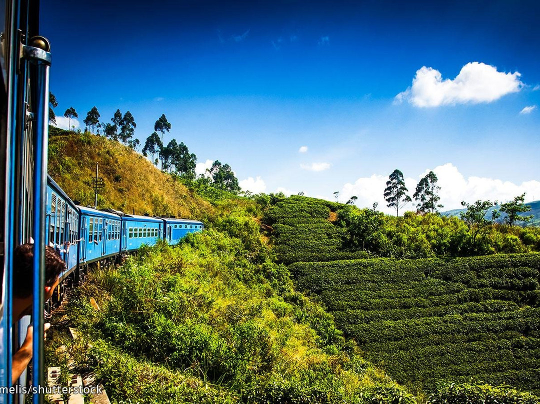 taxi hatton-哈顿必去景点