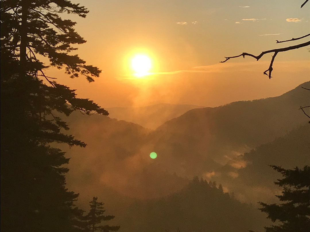 Newfound Gap Road-大雾山国家公园必去景点