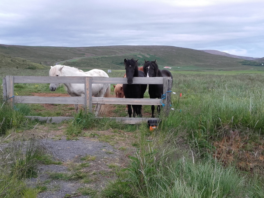 Guesthouse Brekka主图