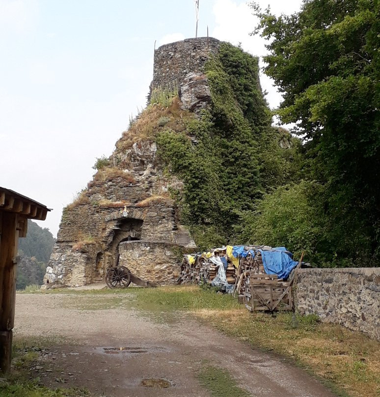 Burg Veldenz景点图片