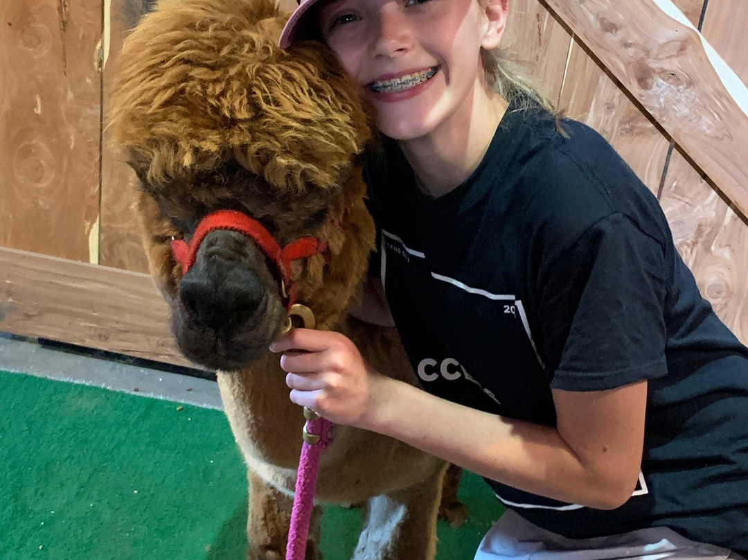 YaYa's Alpaca Farm-Garden City必去景点