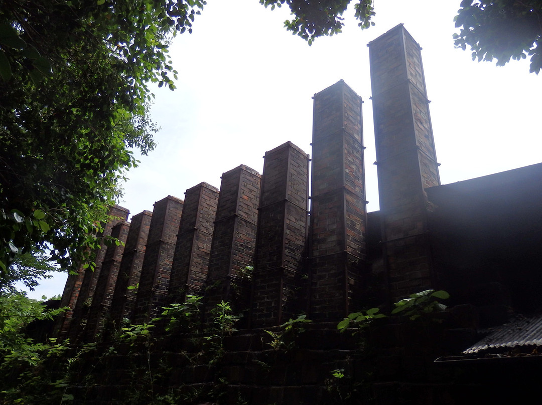 Climbing Kiln-常滑市必去景点