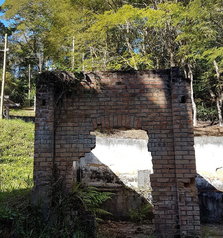 Jardim Botanico UFJF景点图片