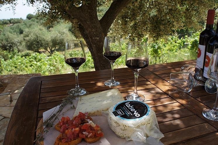 Ithaca Travel - Island Tours -Guided Walks-Vathy必去景点