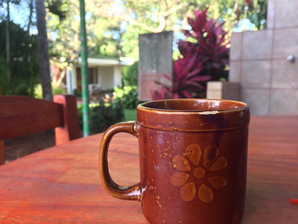 Hotel La Rosa de America主图