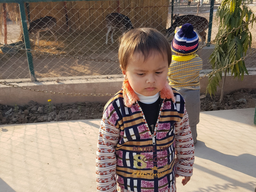 Peshawar Zoo-白沙瓦必去景点