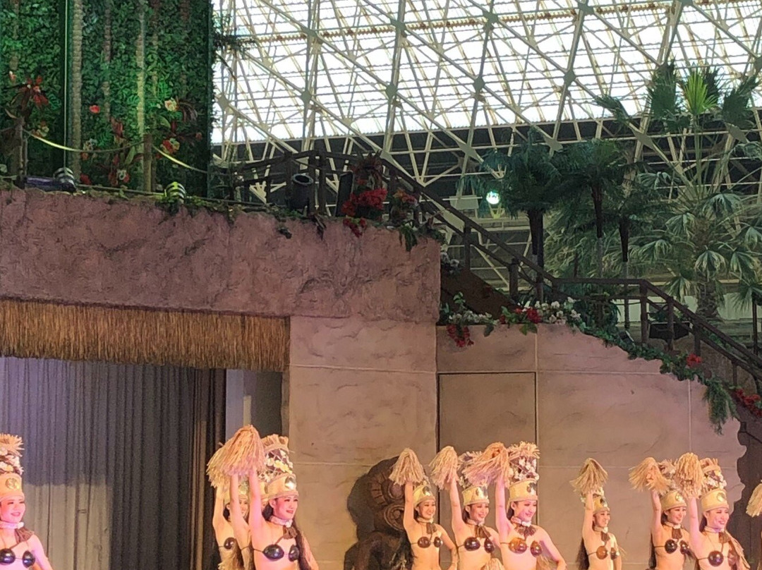 Spa Resort Hawaiians Hotel主图