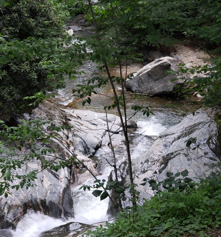 Laurel Creek Falls景点图片