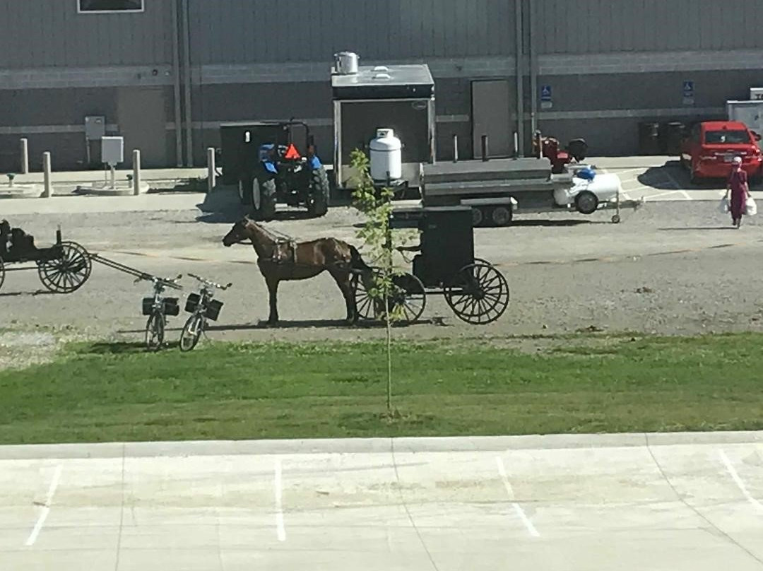 Sleep Inn & Suites Mt. Hope Near Auction & Event Center主图