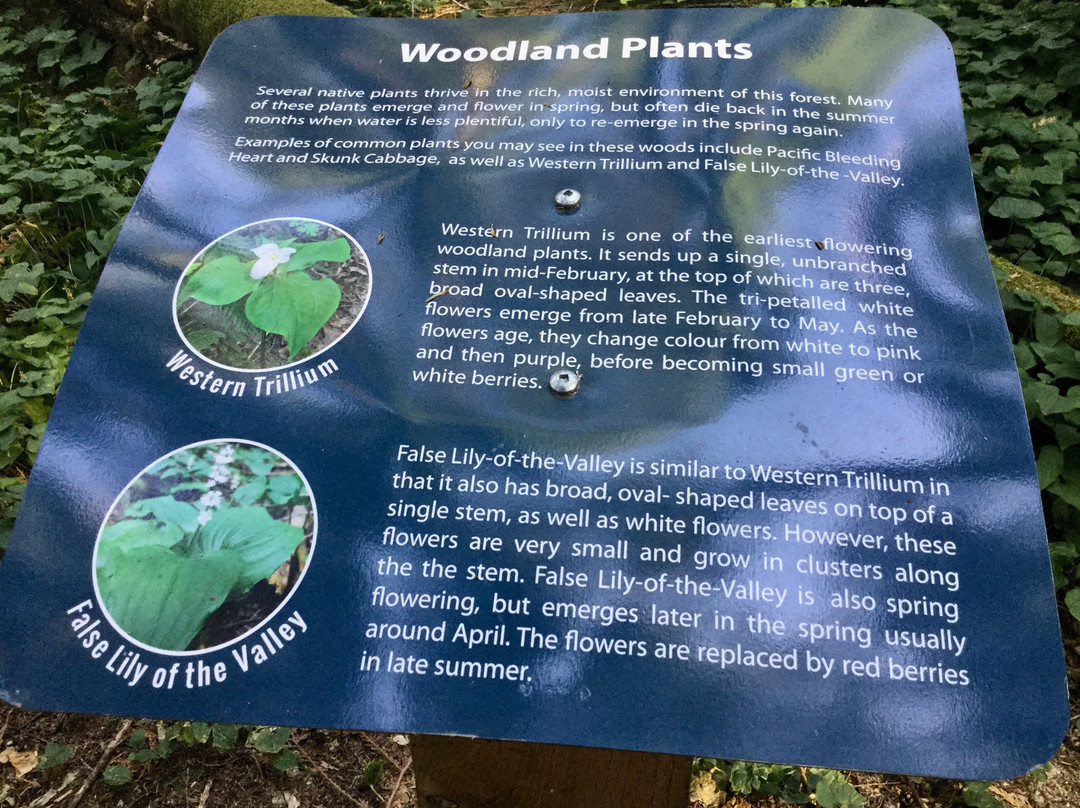 Spirit Trail Walk-哈里逊温泉必去景点