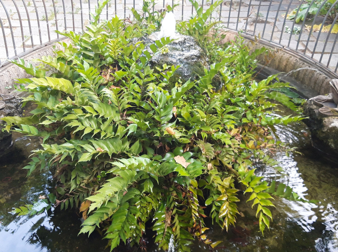 Jardins de La Tamarita-巴塞罗那必去景点