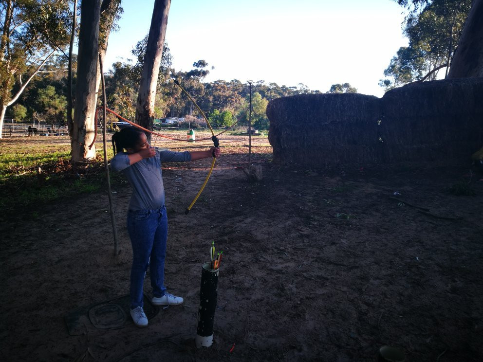 Mountain View Horse Trails-开普敦中心区必去景点