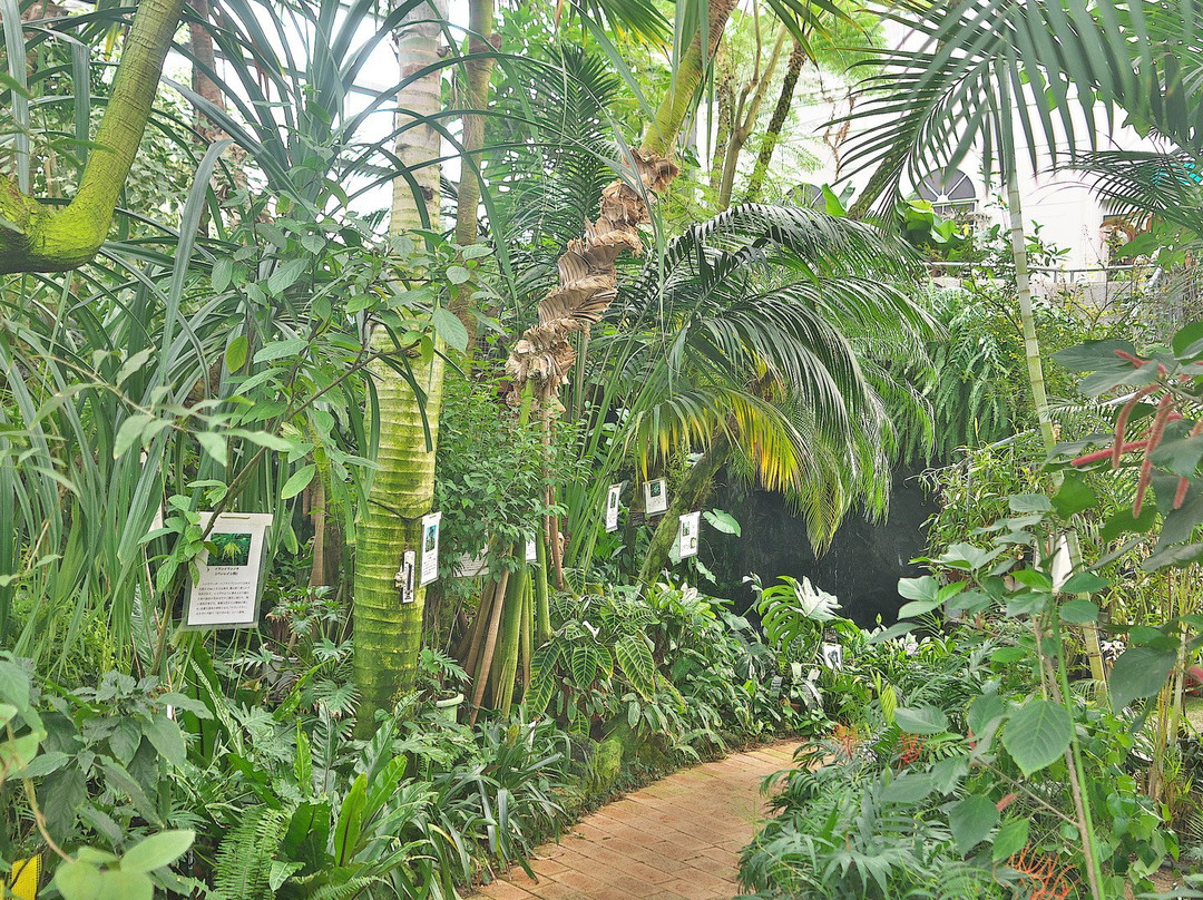 Fukuchiyama City Greenery Botanical Garden-福知山市必去景点