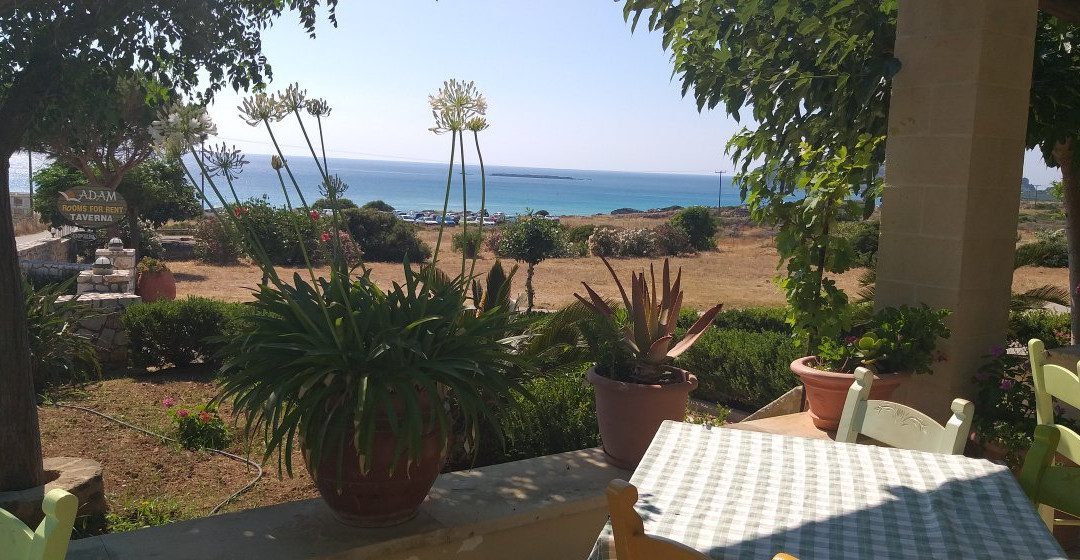 Adam - Rooms for Rent主图