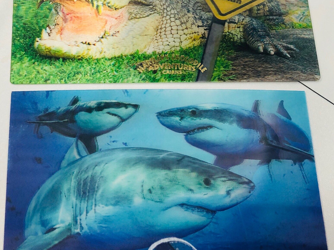 Cairns Library-凯恩斯必去景点