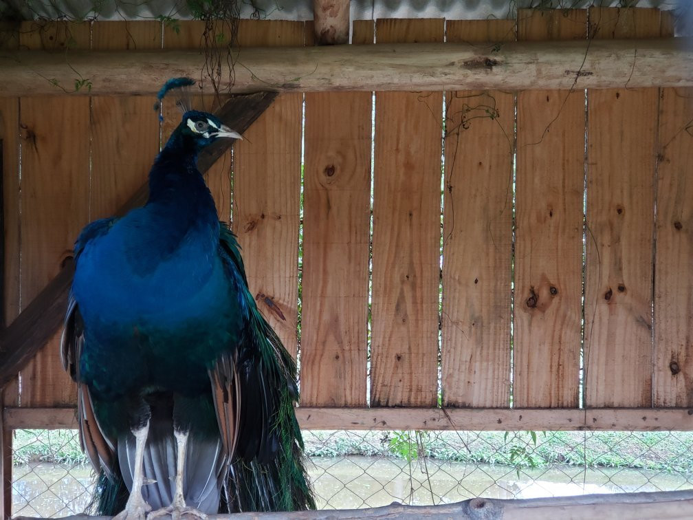 Rancho Alegre-Joinville必去景点