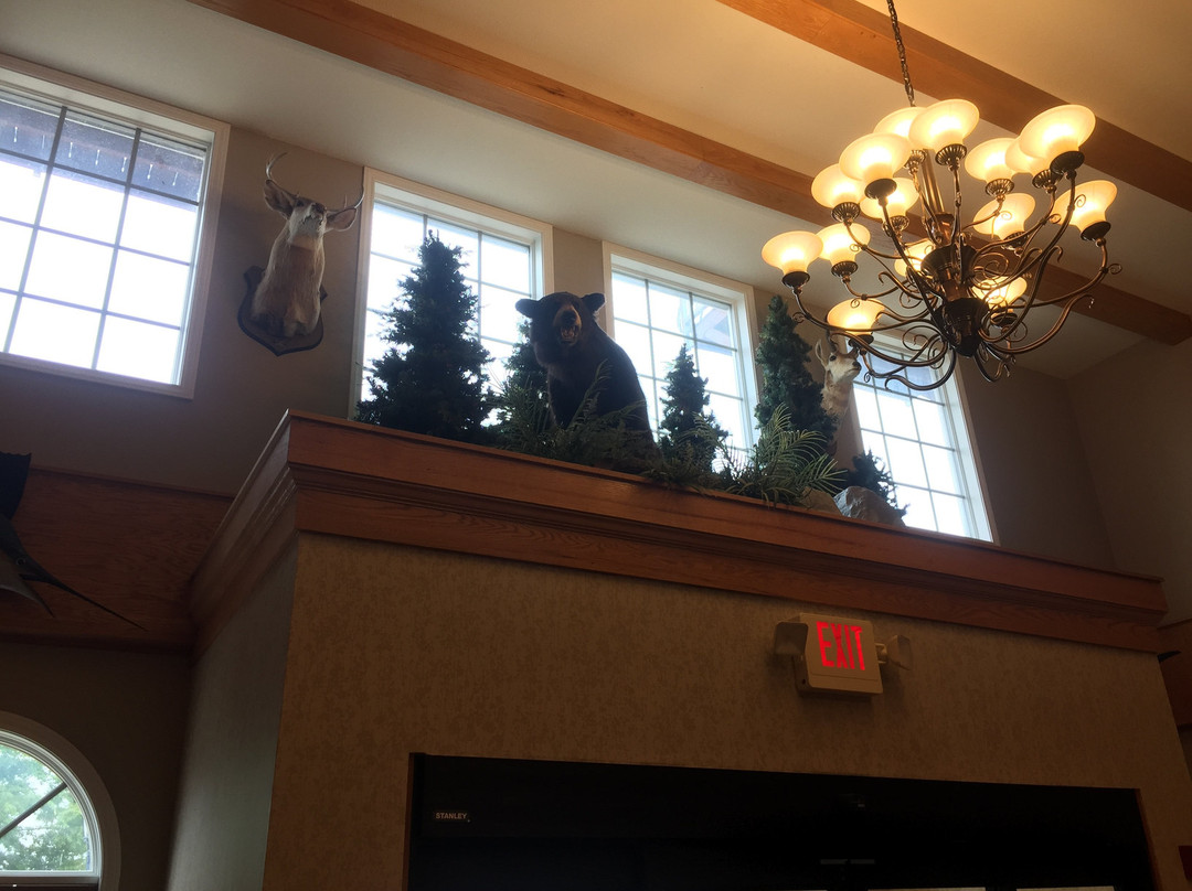 The Marv Herzog Hotel主图