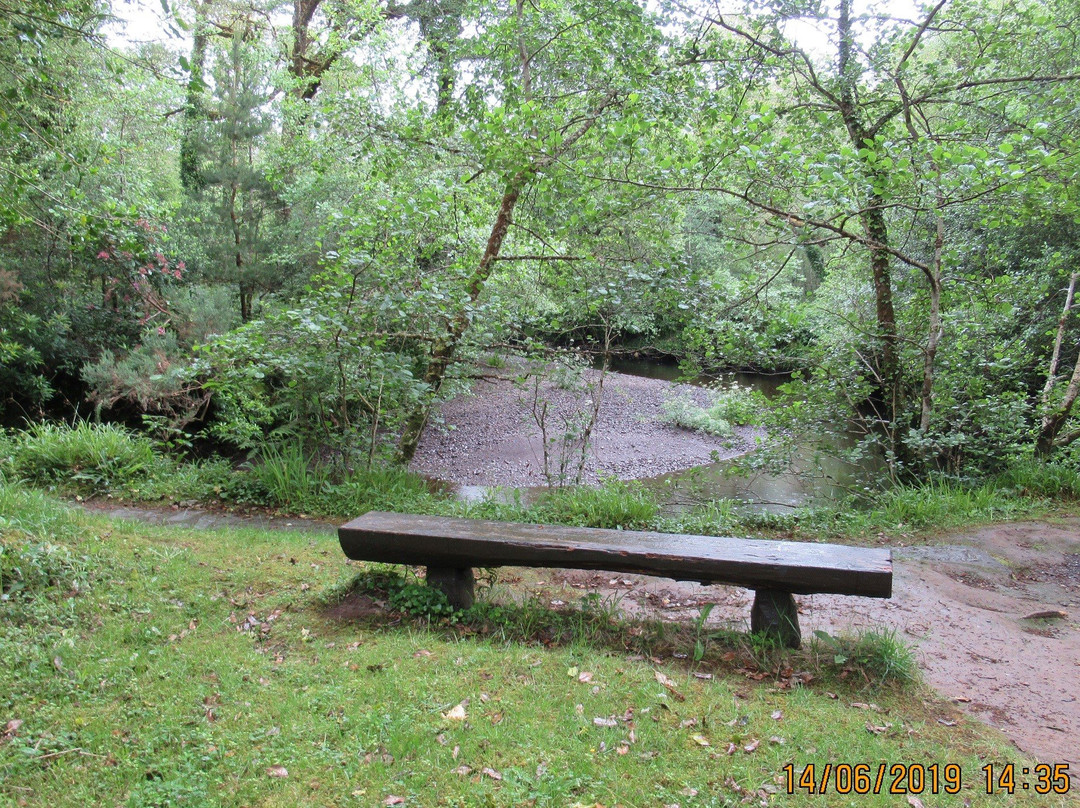 Glengariff Woods景点图片