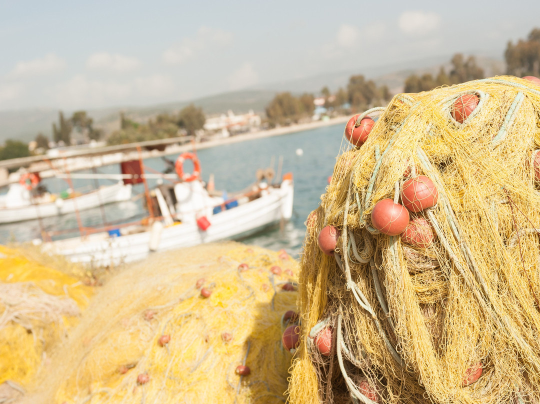 Vasilis Studios主图