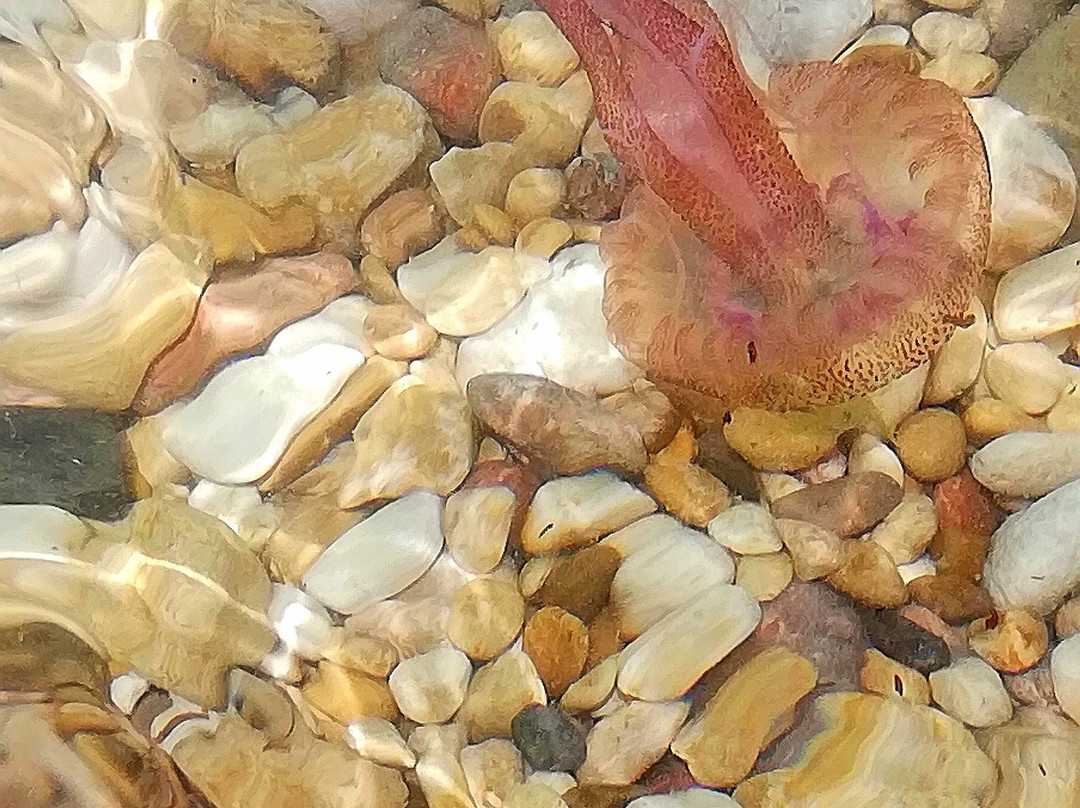 Ramla Bay-Xaghra必去景点